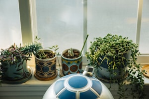 Ceramic Planters