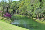 a body of water surrounded by lush green trees