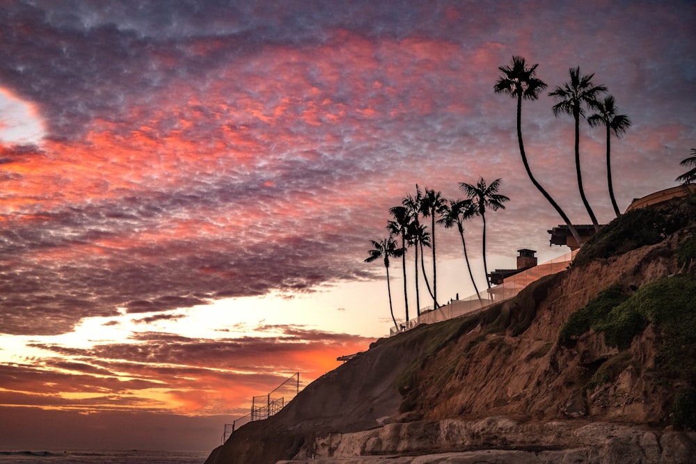 a sunset view of a beach with palm trees