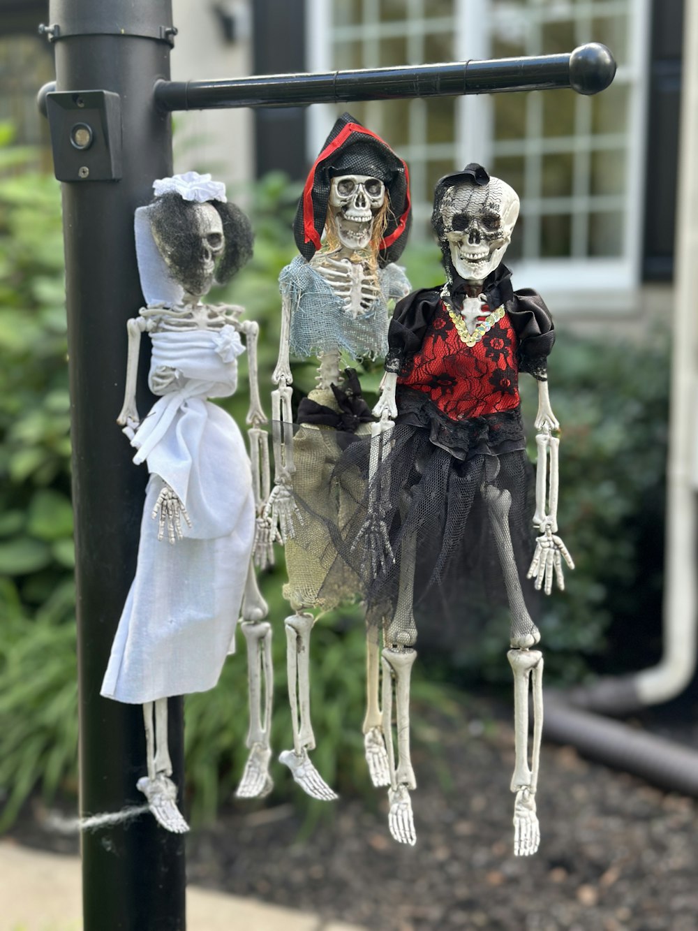 a couple of skeletons hanging from a pole