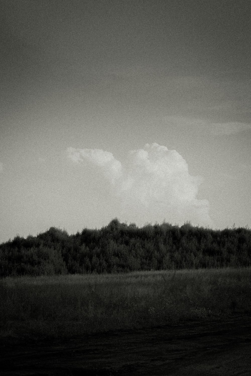 a black and white photo of a field and trees