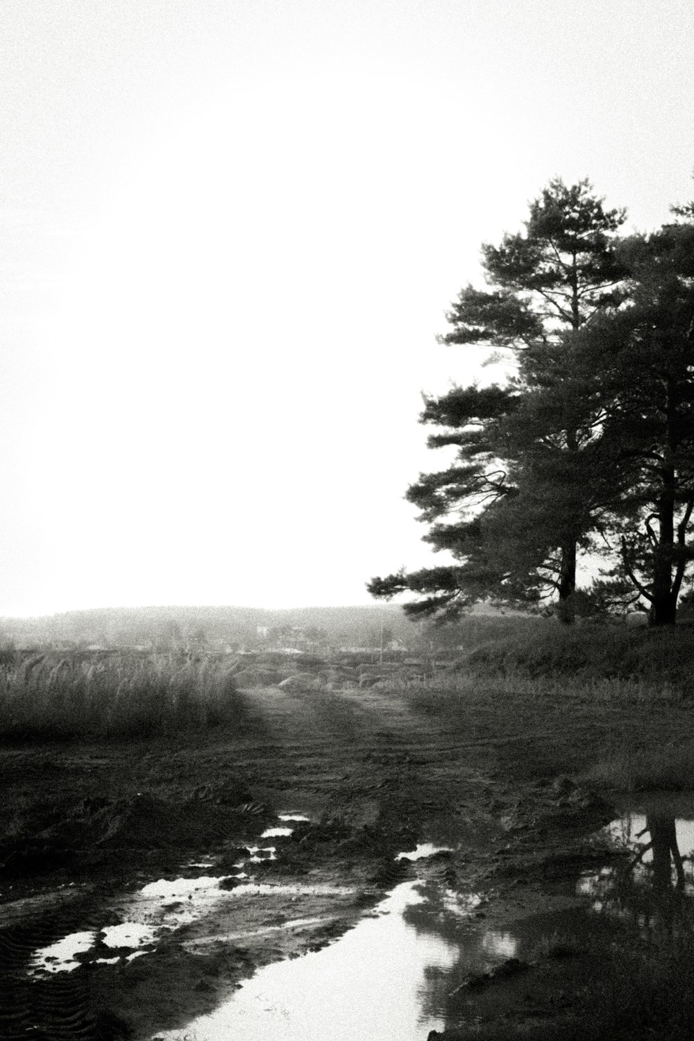 a black and white photo of a small stream