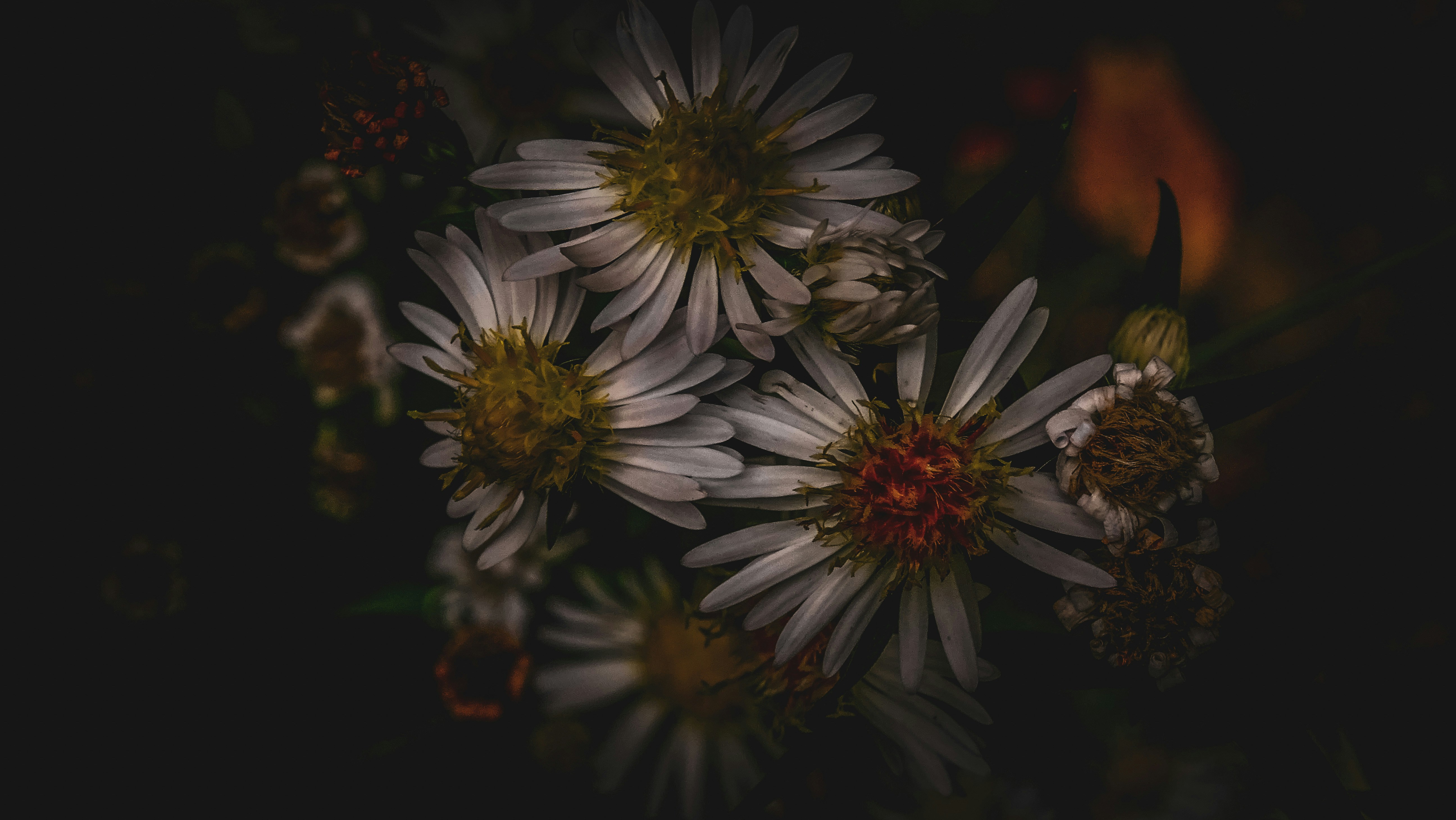 Photo by lesliebeasley