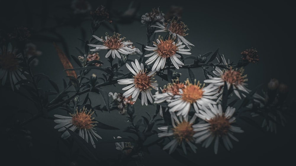 um ramo de flores brancas e laranjas em um fundo preto