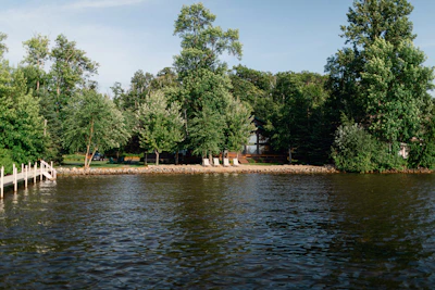 A peaceful lakeside plot of land bordered by tall trees and calm water.