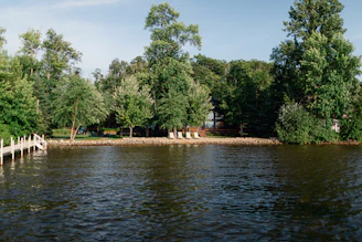 A peaceful lakeside plot of land bordered by tall trees and calm water.