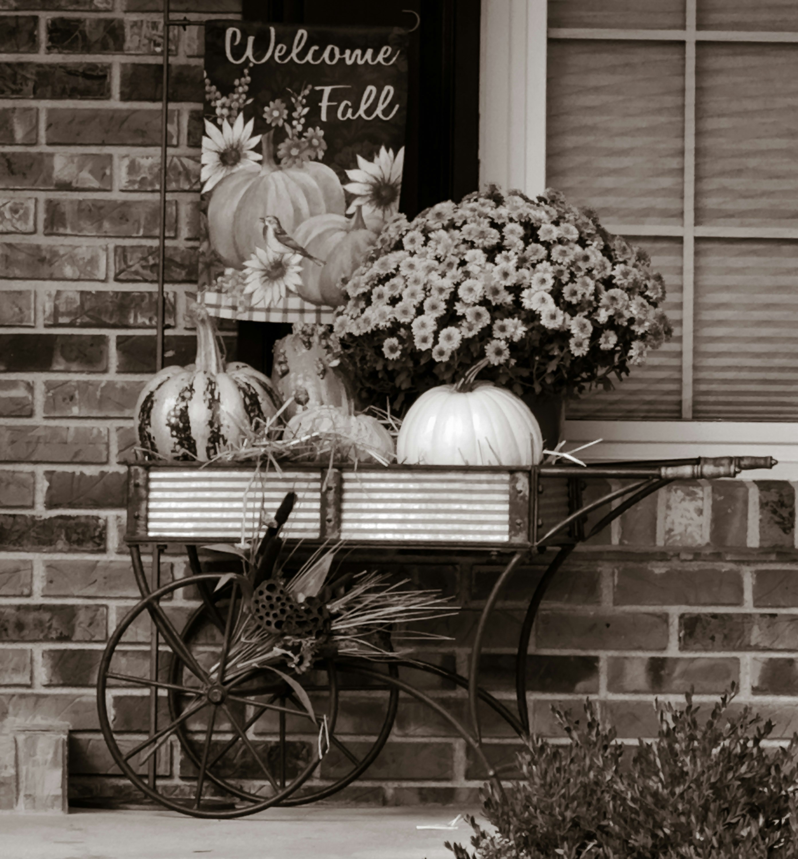 Photo by lesliebeasley