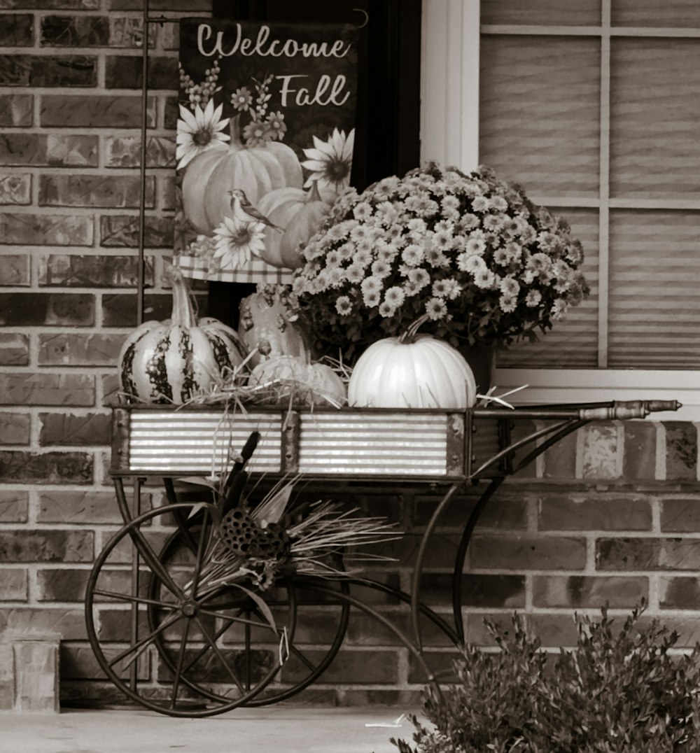 a black and white photo of a welcome fall sign