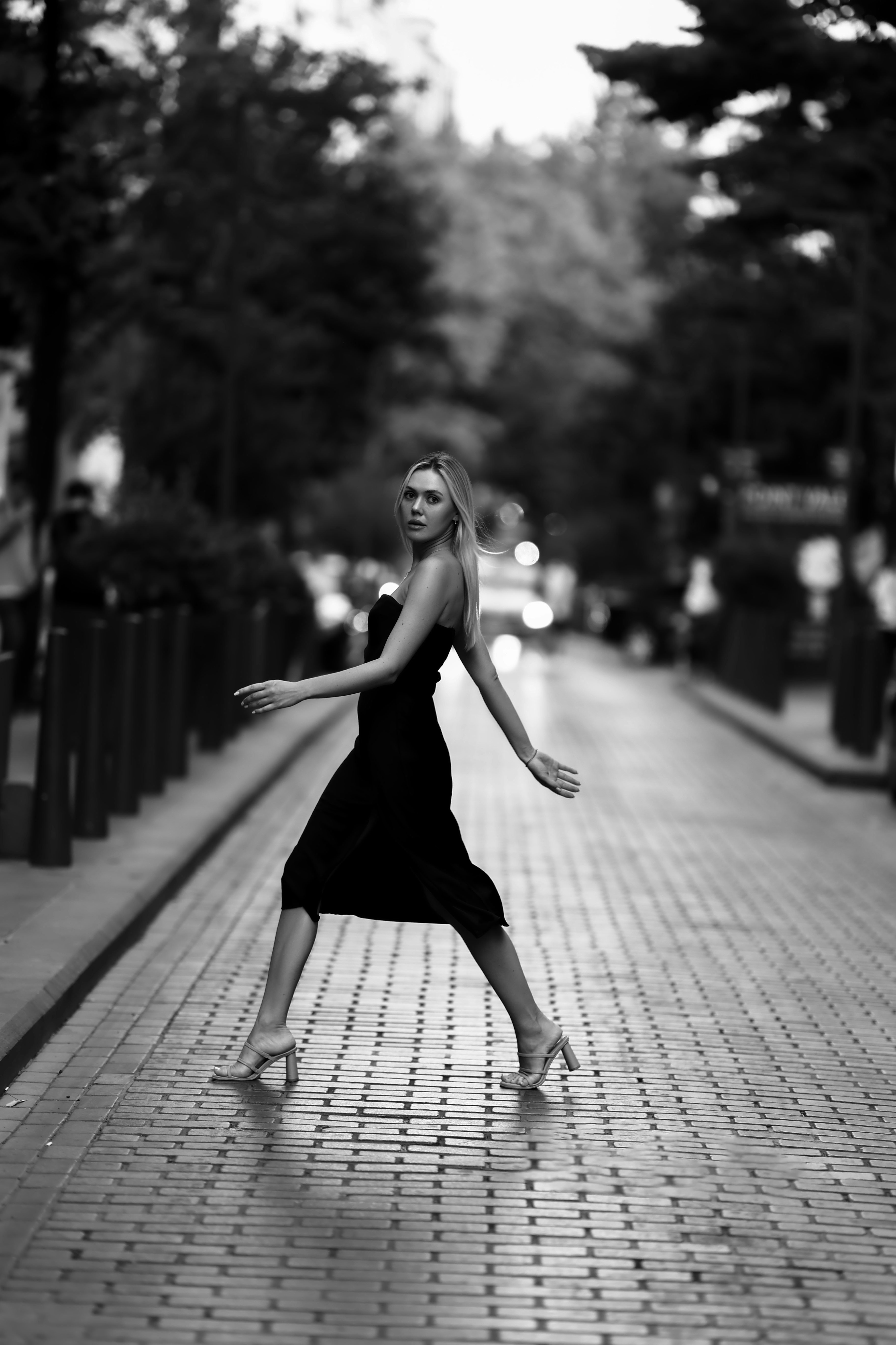 Elegant Danish Women's Dress