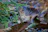 Close-up of gentle ripples on a calm forest pond surrounded by autumn leaves.