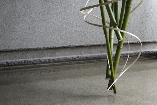 A cluster of green bamboo stalks is arranged vertically against a textured gray wall. A thin, light-colored ribbon-like material spirals elegantly around the bamboo, creating a visually appealing contrast. The scene is minimalistic, with a serene reflection of the bamboo on the smooth, gray surface in the foreground.