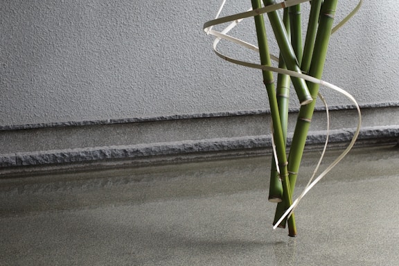 A cluster of green bamboo stalks is arranged vertically against a textured gray wall. A thin, light-colored ribbon-like material spirals elegantly around the bamboo, creating a visually appealing contrast. The scene is minimalistic, with a serene reflection of the bamboo on the smooth, gray surface in the foreground.
