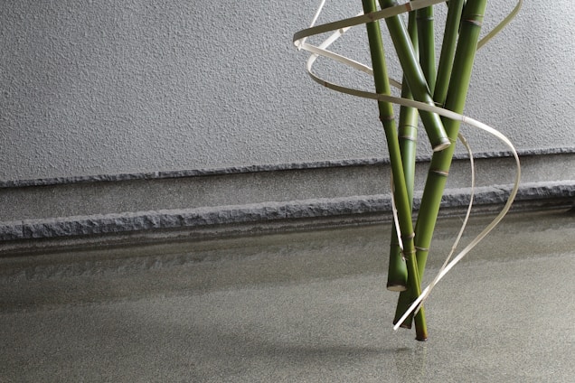A cluster of green bamboo stalks is arranged vertically against a textured gray wall. A thin, light-colored ribbon-like material spirals elegantly around the bamboo, creating a visually appealing contrast. The scene is minimalistic, with a serene reflection of the bamboo on the smooth, gray surface in the foreground.