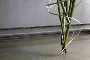 A cluster of green bamboo stalks is arranged vertically against a textured gray wall. A thin, light-colored ribbon-like material spirals elegantly around the bamboo, creating a visually appealing contrast. The scene is minimalistic, with a serene reflection of the bamboo on the smooth, gray surface in the foreground.
