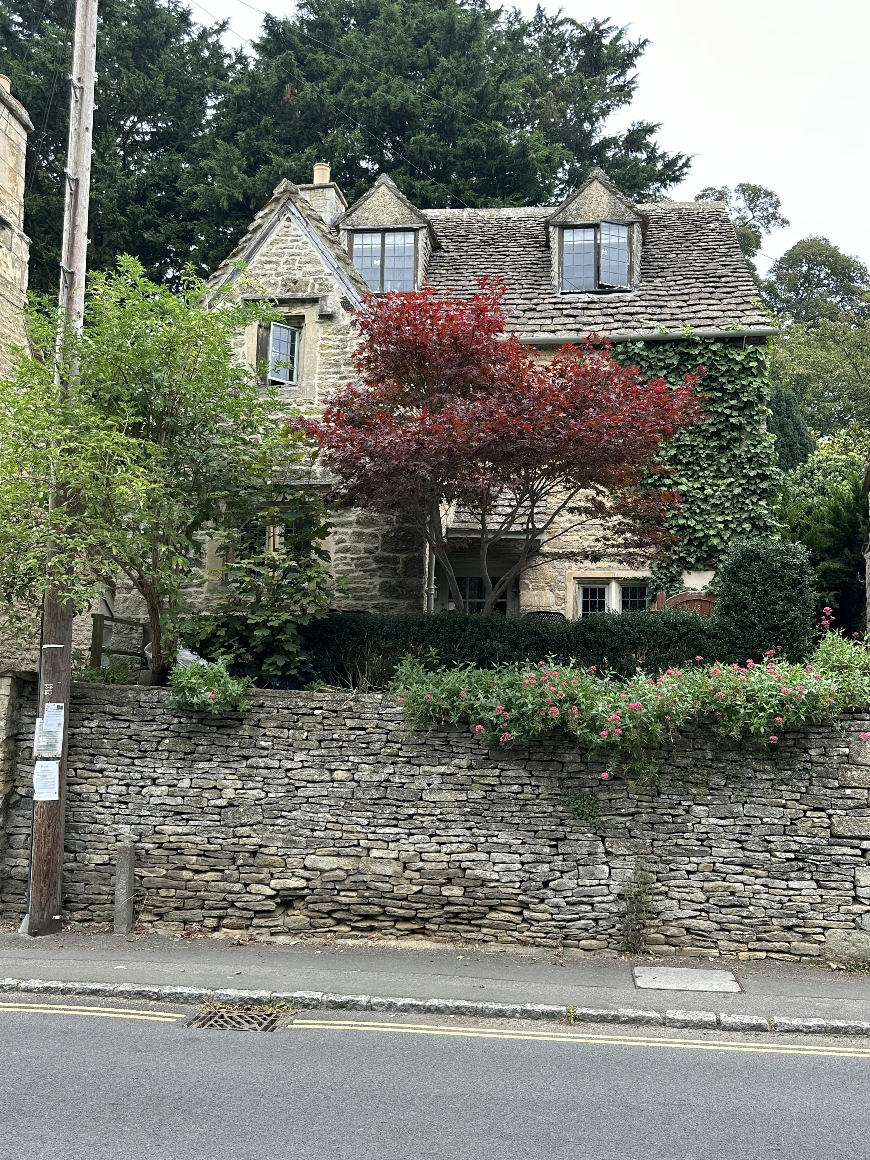 Photo by tonylong100