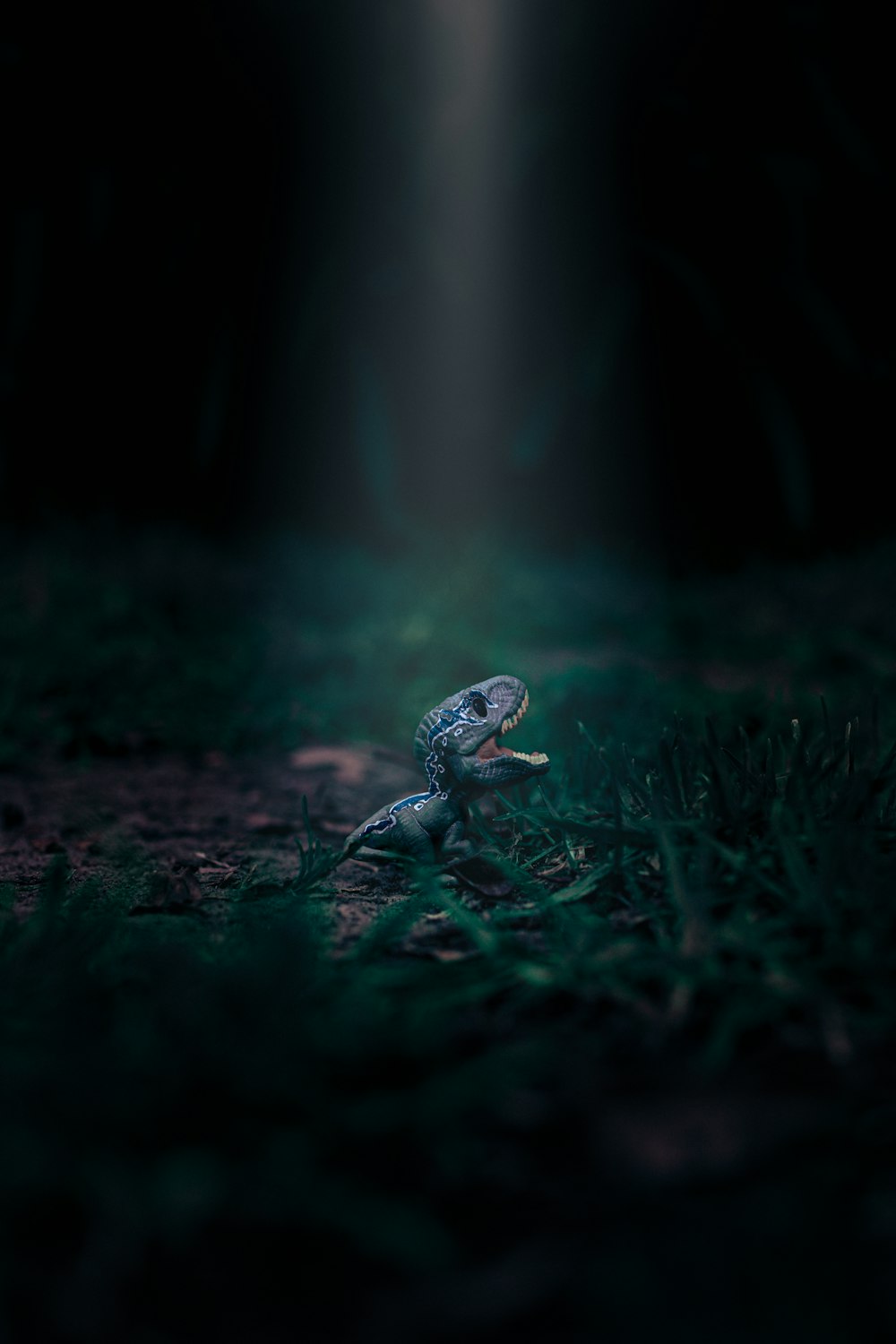 a lizard sitting on the ground in the dark
