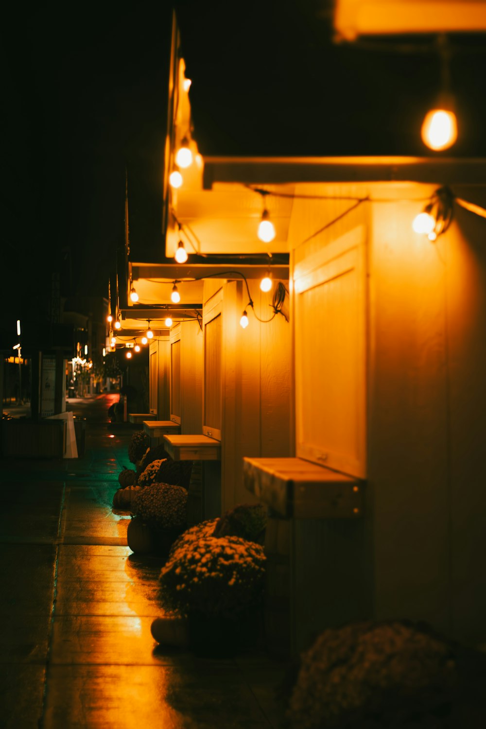 a row of lights on the side of a building