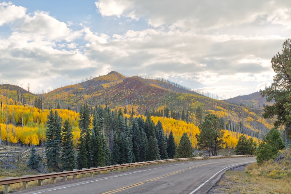 a road with a mountain in the background