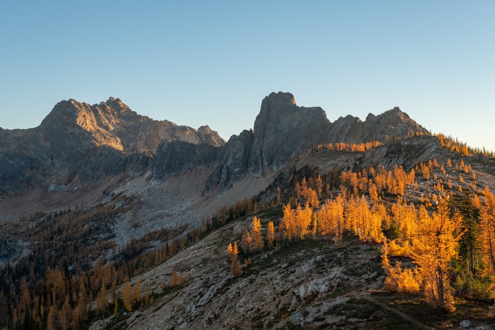 a view of a mountain range with trees in the foreground