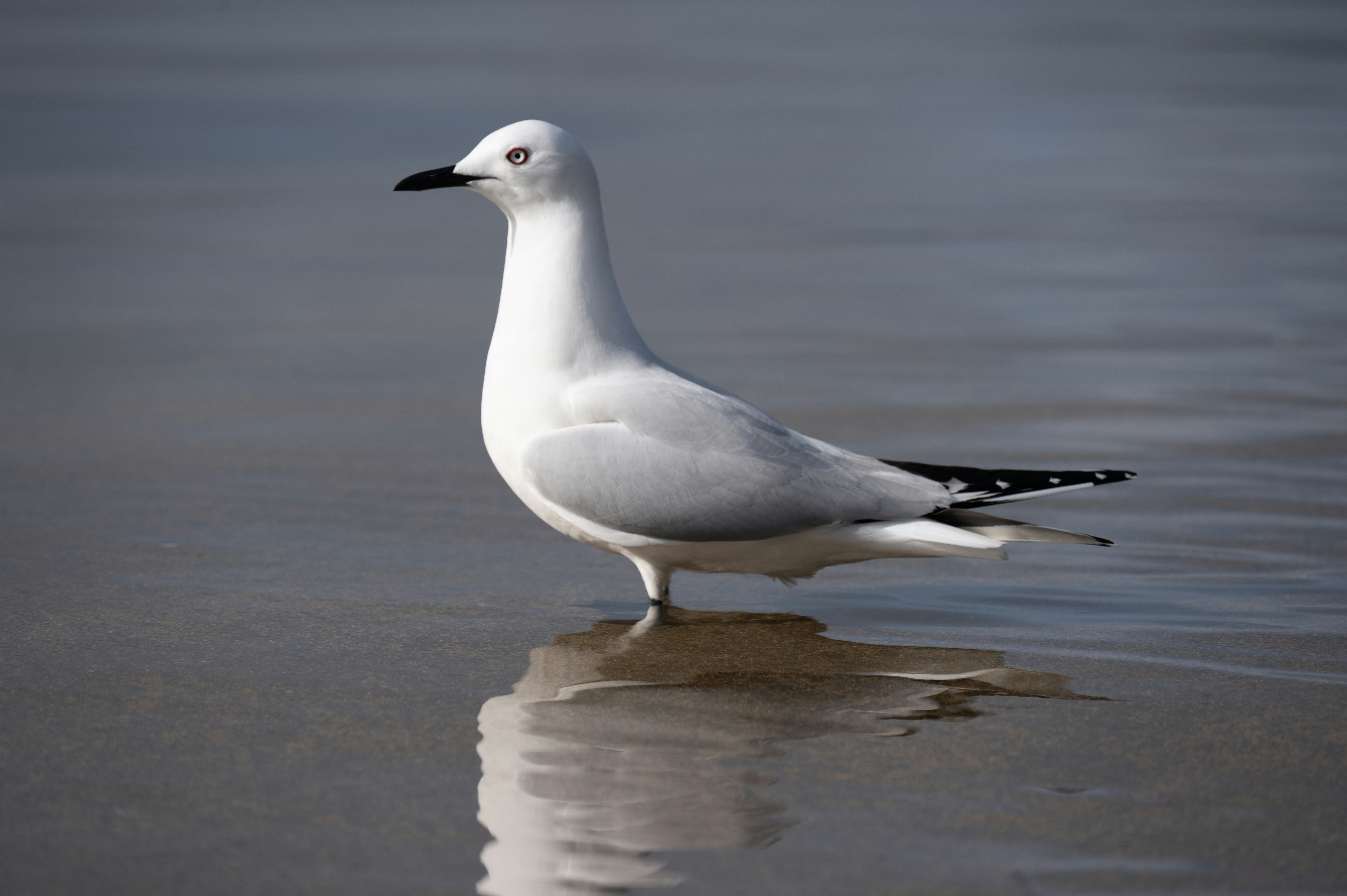 Photo by toby_hall28