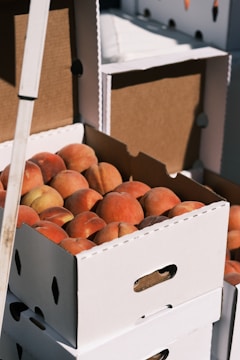 Cardboard boxes filled with ripe peaches stacked on top of each other. The boxes are white with open handles, allowing a glimpse of the fruit inside. Sunlight creates subtle shadows on the boxes, enhancing the texture and colors of the peaches.