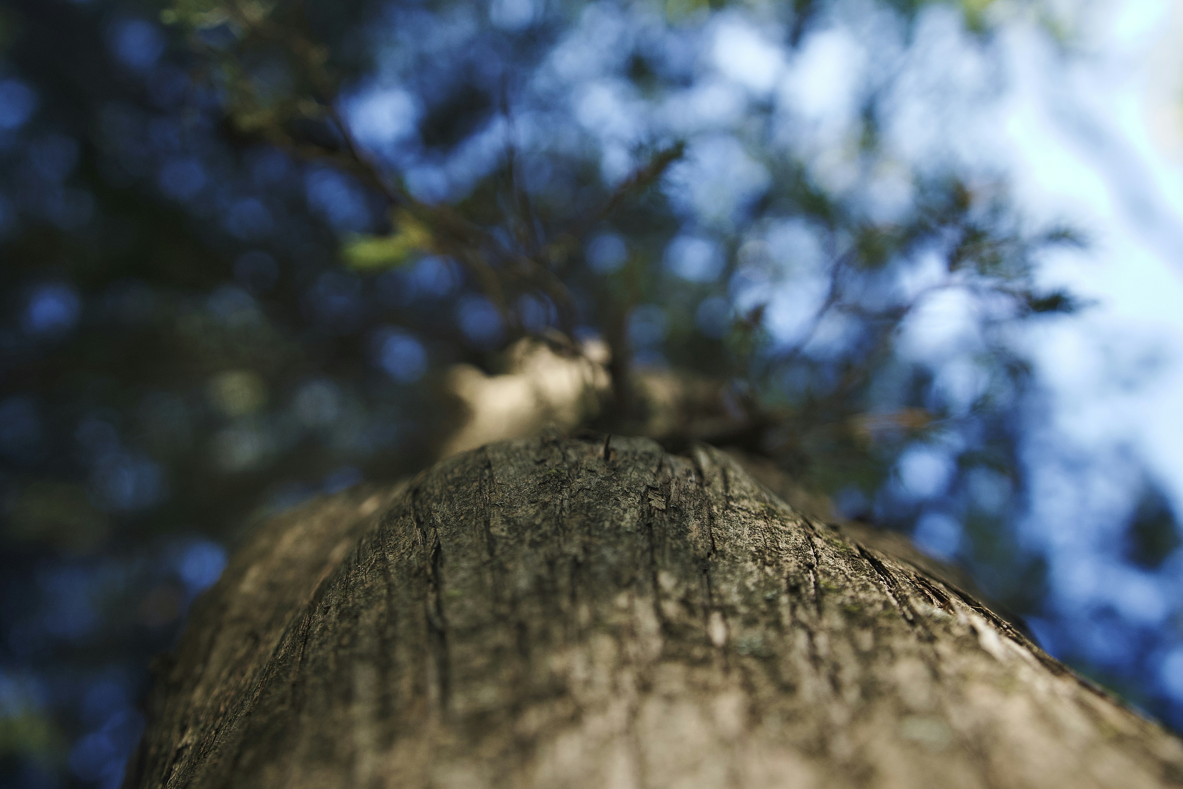 Photo by minimdesignco