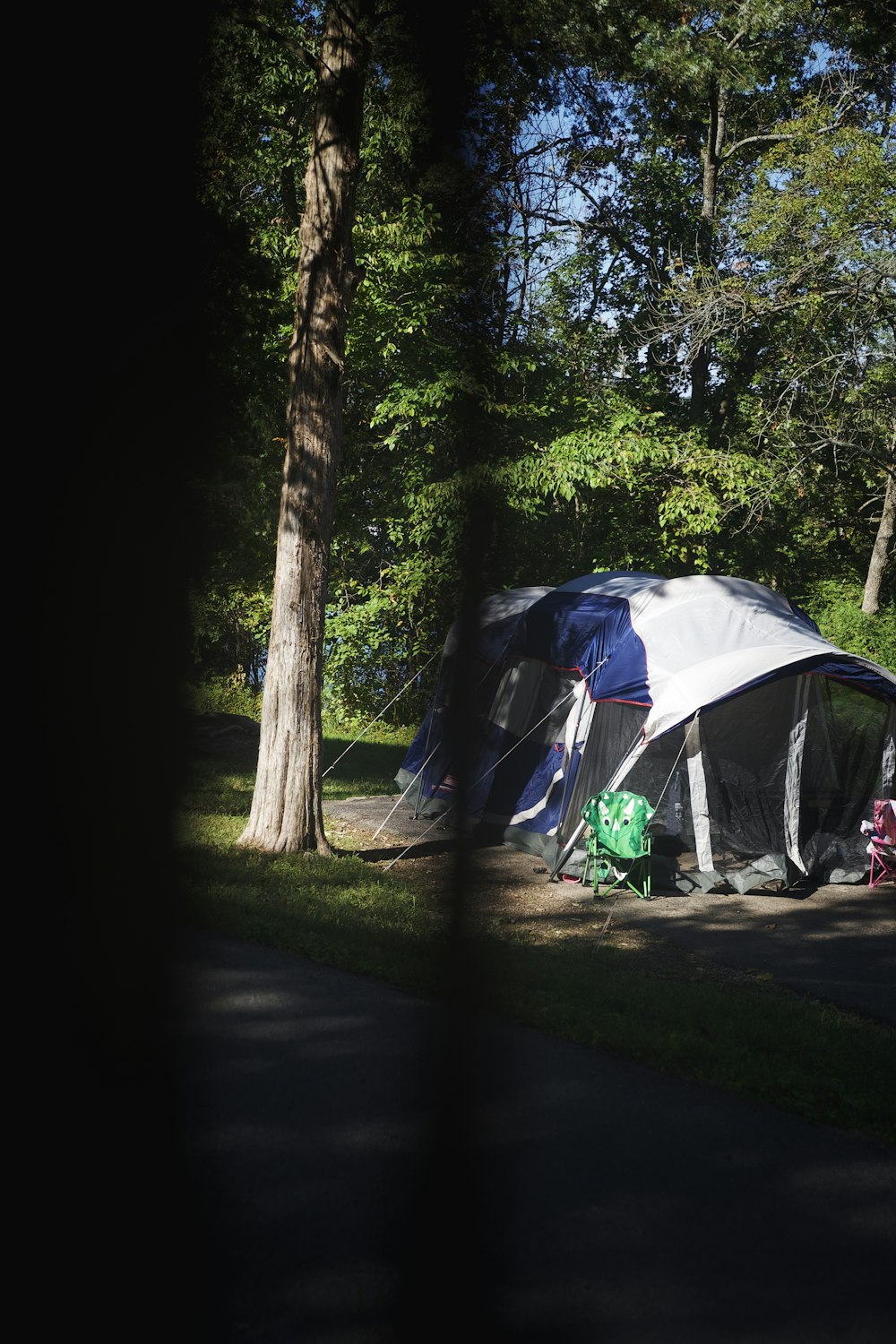 a tent set up in the middle of a park