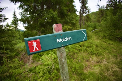 A wooden signpost with a green background and the word 'Molden' written on it, set against a lush forest backdrop. There is a red symbol on the sign indicating a hiking trail.