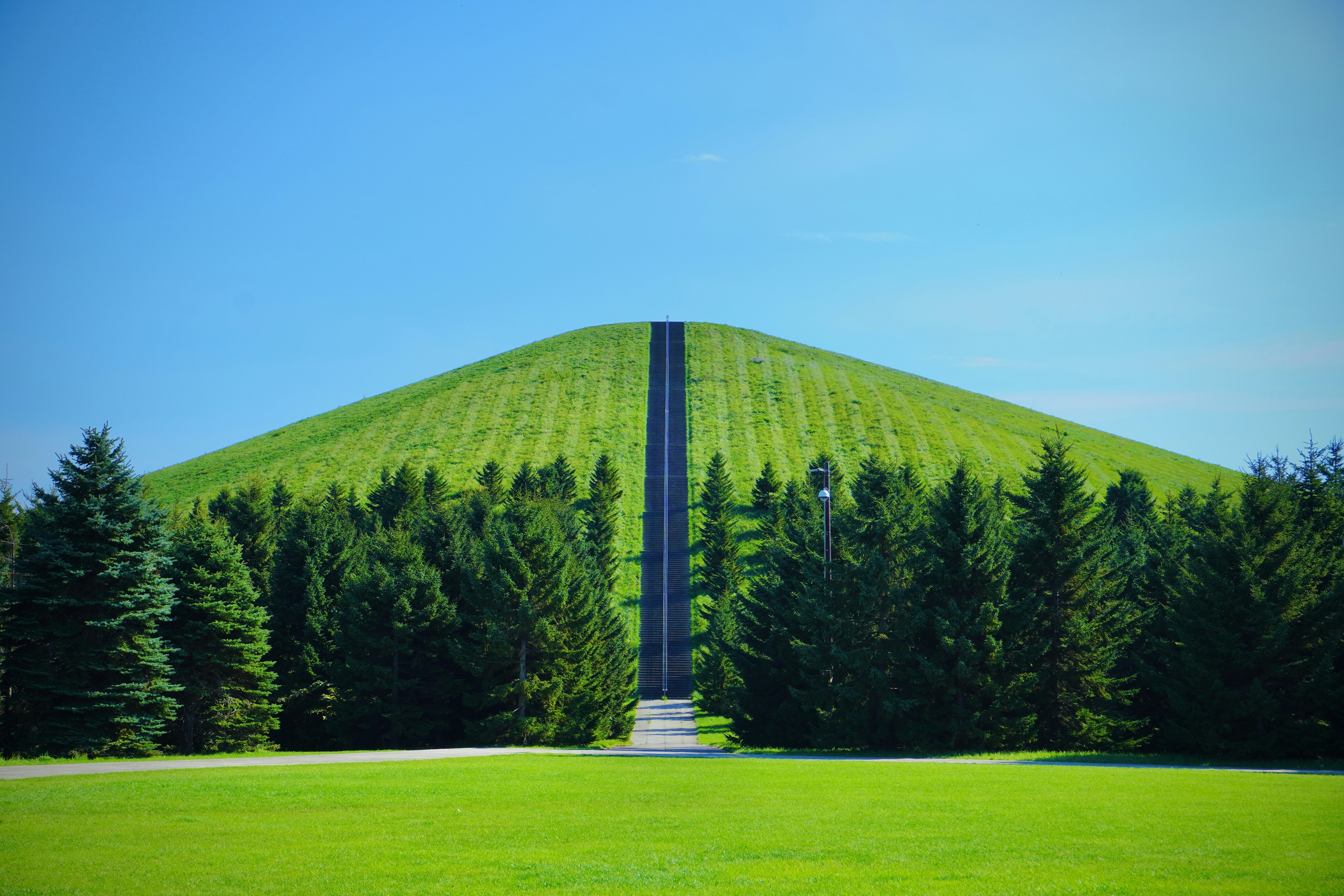 a large green hill with trees surrounding it