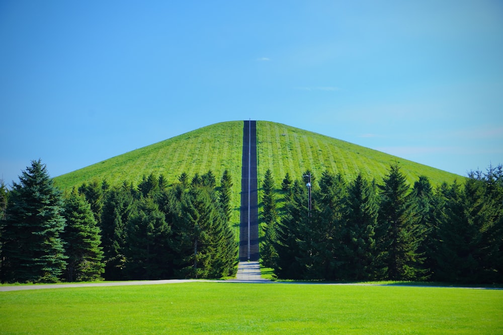 a large green hill with trees surrounding it