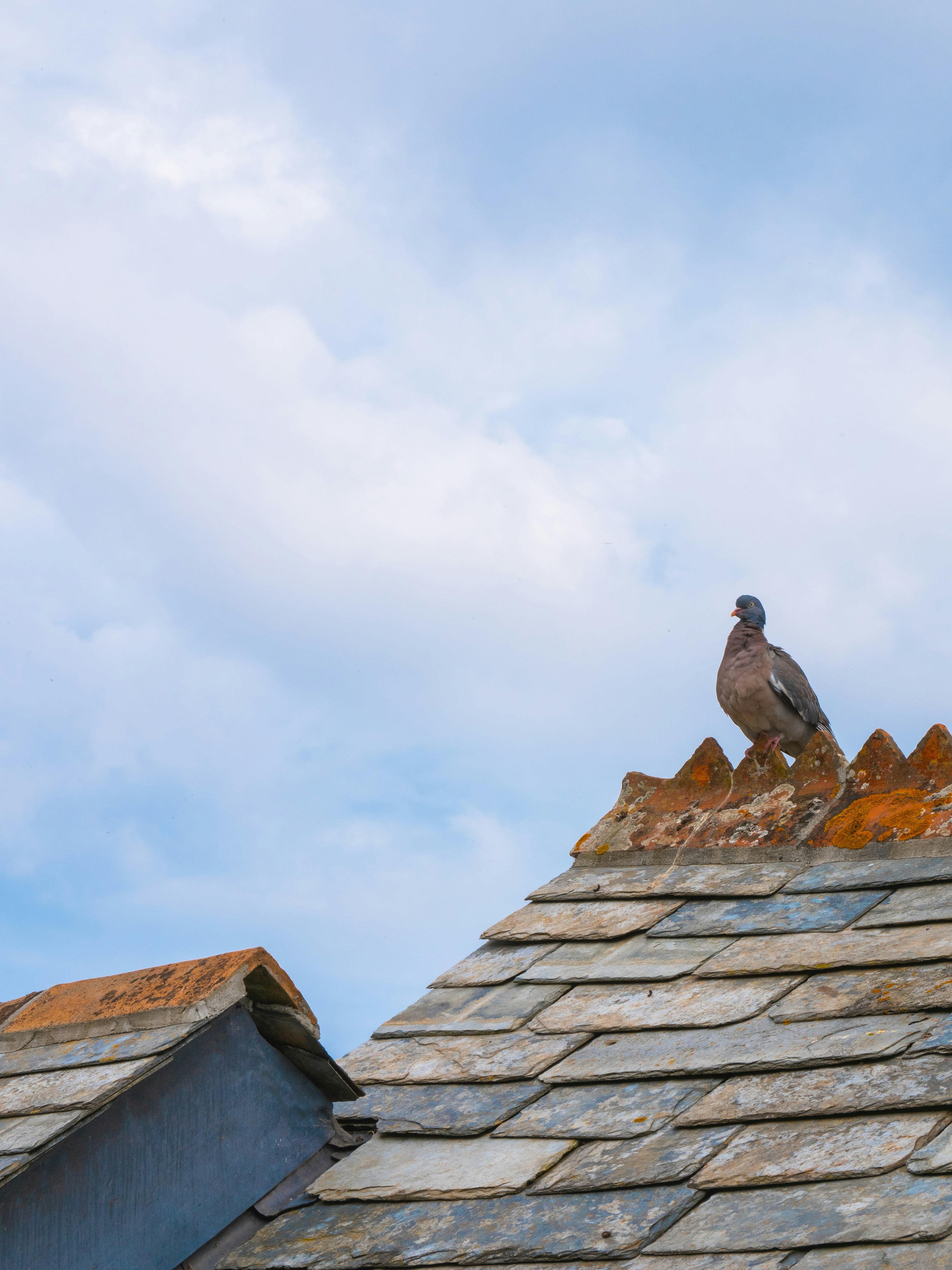 Photo by mbcarterphotography