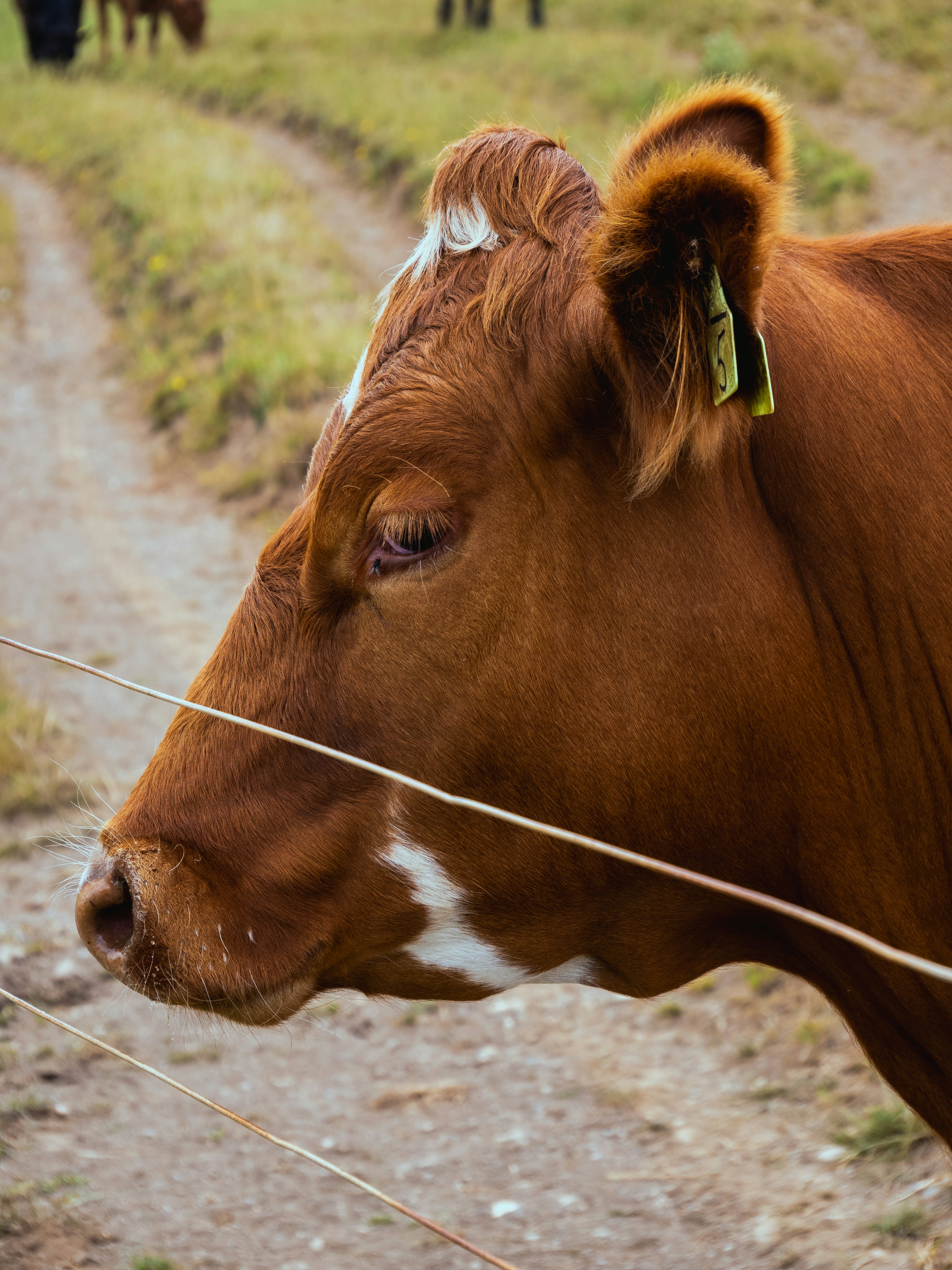 Photo by mbcarterphotography