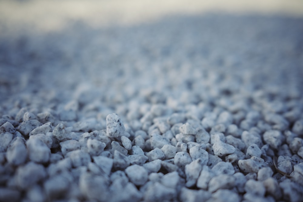 a close up of a bunch of small rocks