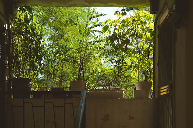 A cozy apartment balcony filled with vibrant potted plants and herbs basking in sunlight.
