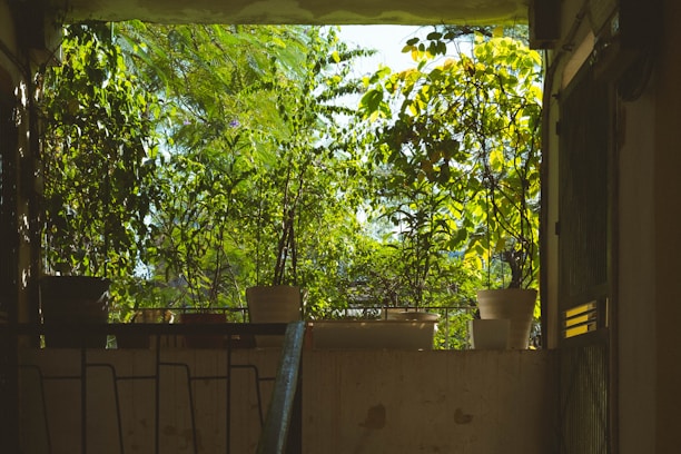 A cozy balcony garden with colorful pots of herbs and vegetables basking in morning sunlight.