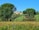 A picturesque rural landscape featuring a vineyard in the foreground and lush green trees, including tall cypress and pine trees, surrounding a rustic house with a red-tiled roof. The sky is clear and blue, adding to the serene setting.