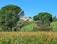 A picturesque rural landscape featuring a vineyard in the foreground and lush green trees, including tall cypress and pine trees, surrounding a rustic house with a red-tiled roof. The sky is clear and blue, adding to the serene setting.