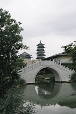 Close-up of intricate stone bridges arching over calm waters in Zhujiajiao.