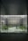 A large, modern architectural interior with a wide glass window overlooking a courtyard. The courtyard features a geometric pathway surrounded by greenery, including various plants and trees. The window structure is made of grid-like metal framing, and the exterior walls have textured patterns.