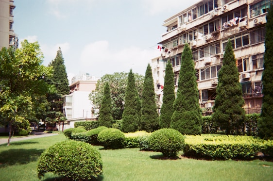 A residential area features apartment buildings adorned with numerous balconies and air conditioning units. In the foreground, a well-maintained garden displays neatly trimmed bushes and tall, conical evergreen trees, all under a clear blue sky.