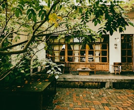 A quaint outdoor patio area surrounded by lush greenery, with a rustic aesthetic. Wooden chairs and a table are placed in front of a building with large window panes and wooden frames. The flooring is a mix of stone and brick, with dappled sunlight peeking through the surrounding foliage.