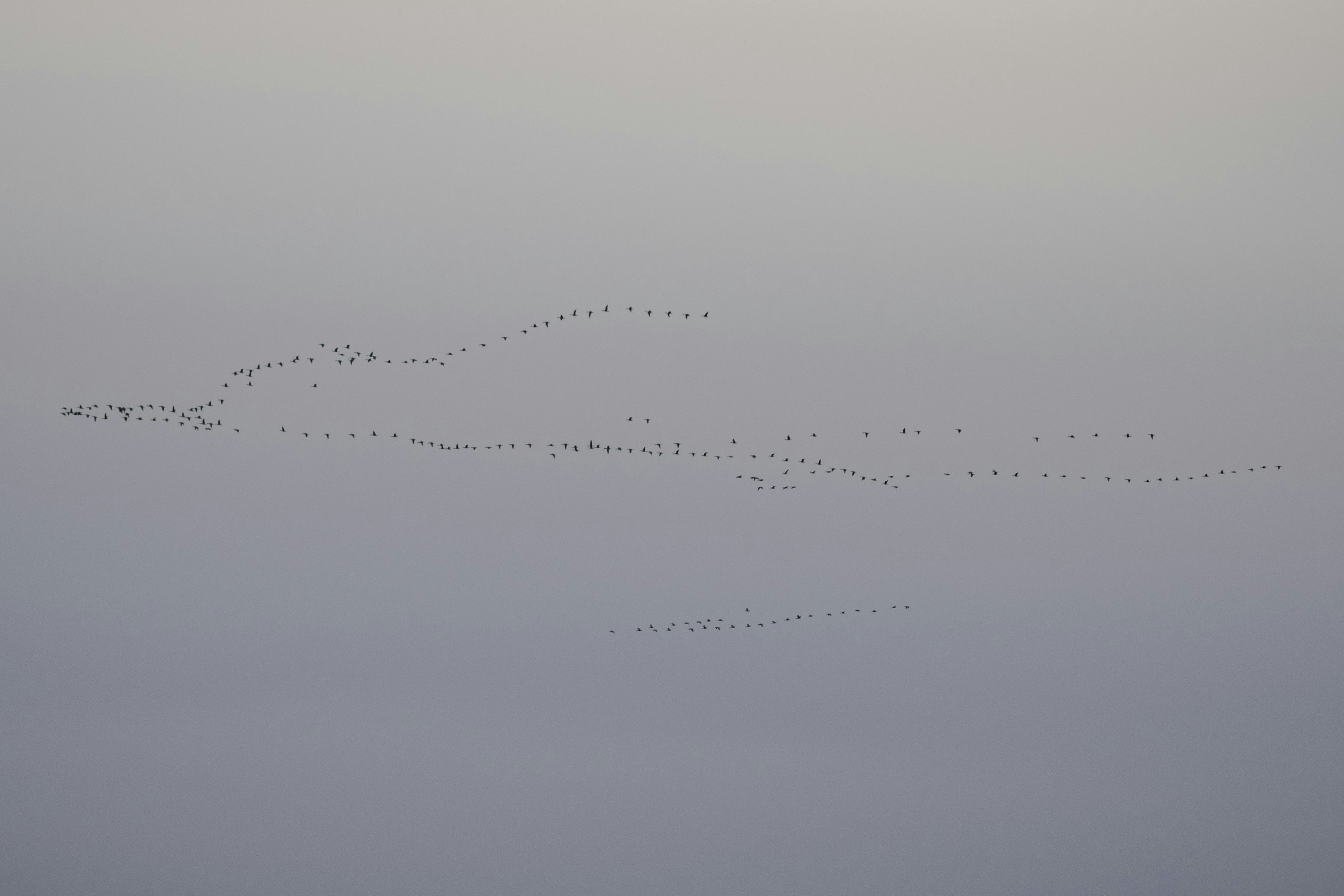 Photo by darkmoon_afa