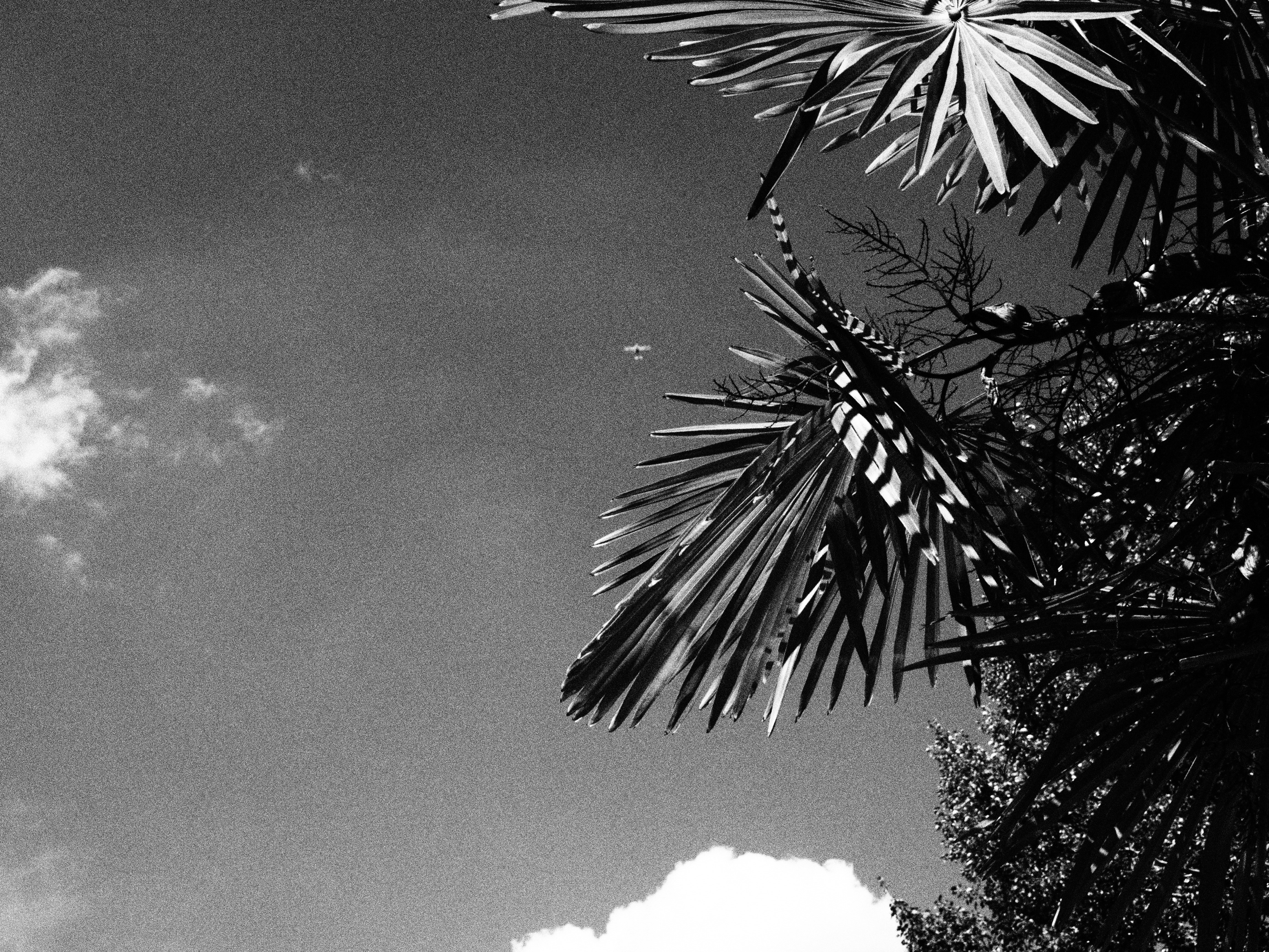 Photo by david_nitschke_95