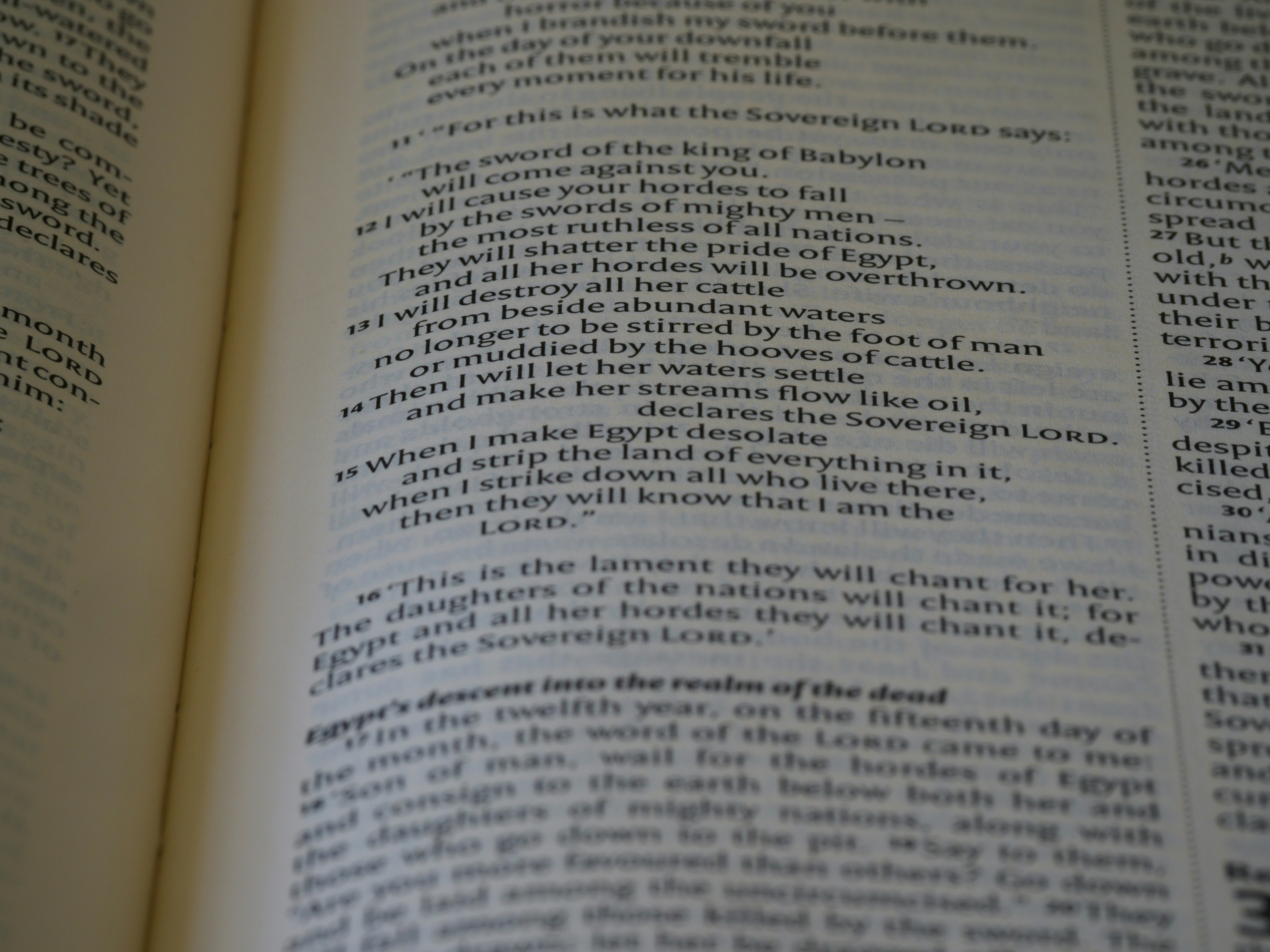 Photo by brett_jordan