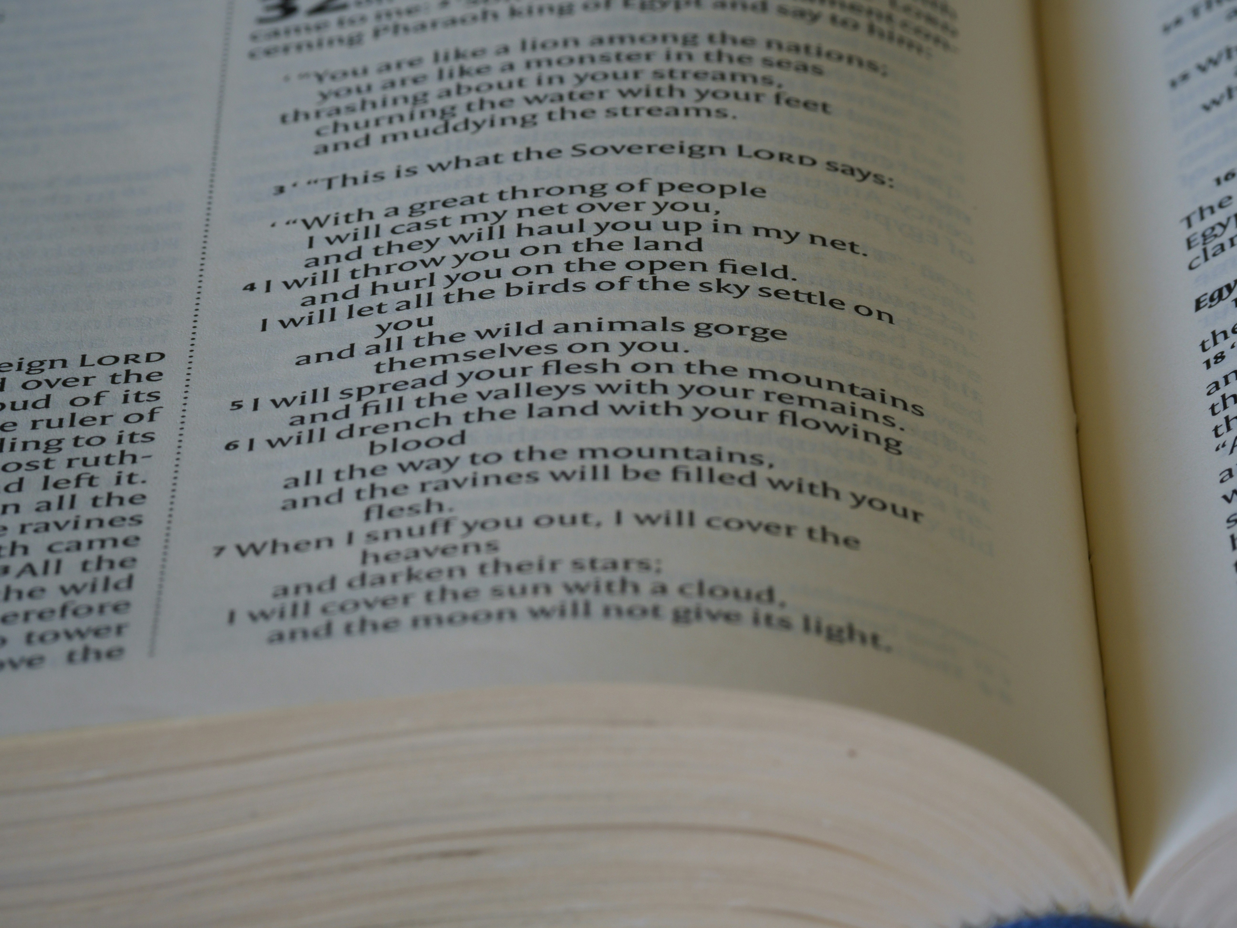 Photo by brett_jordan