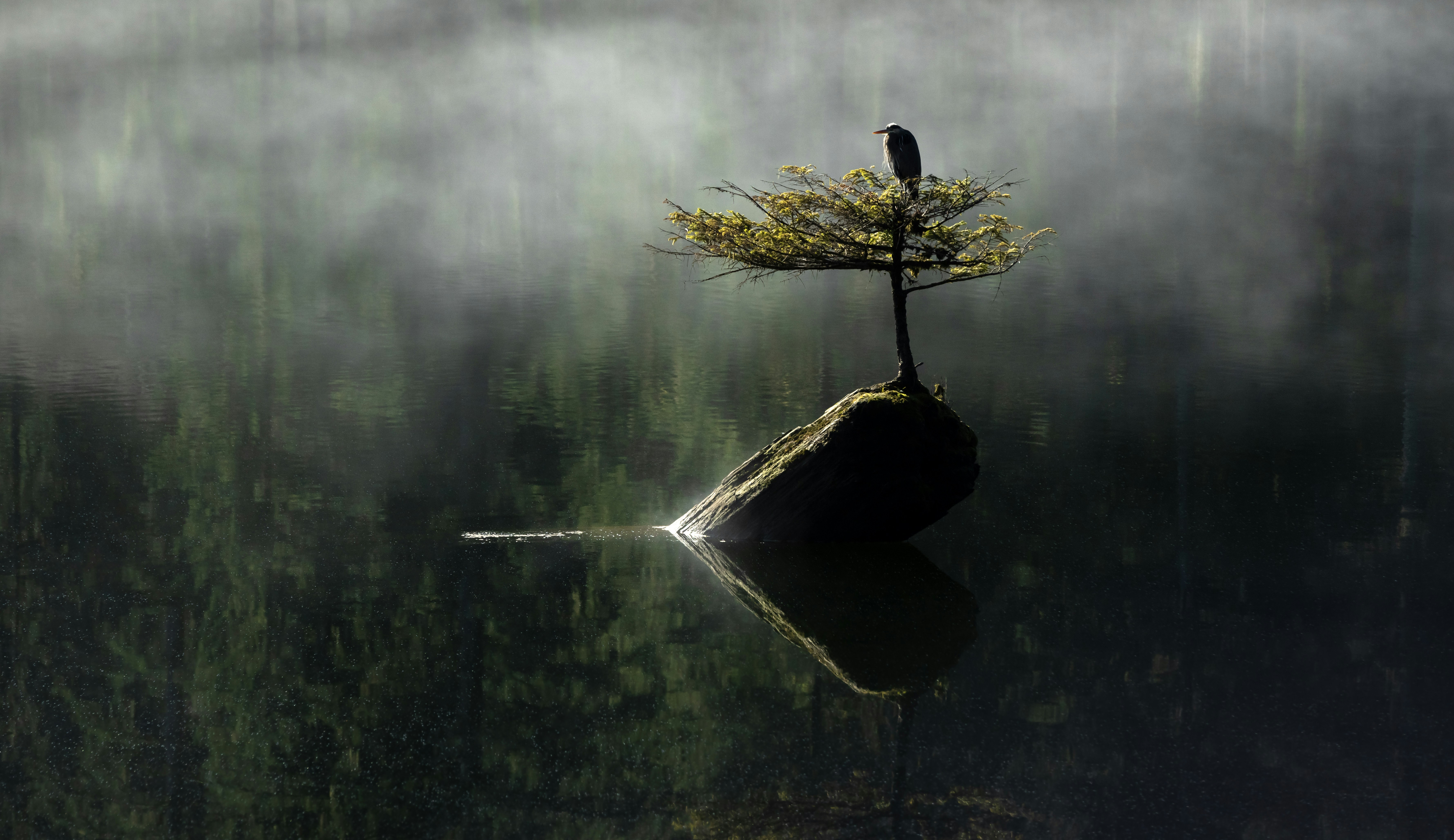 Beautiful people do not just happen