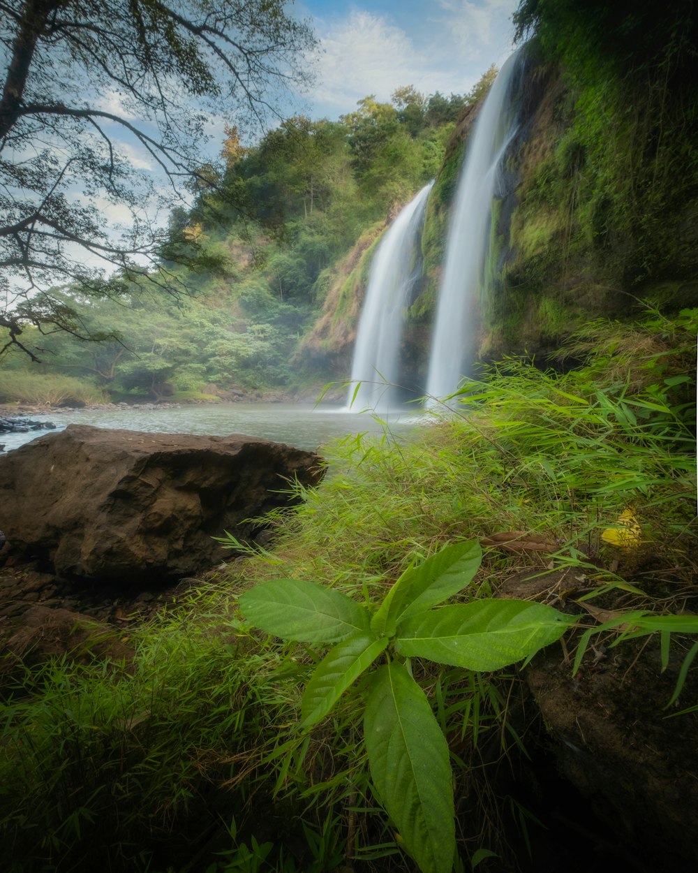 a waterfall in the middle of a lush green forest