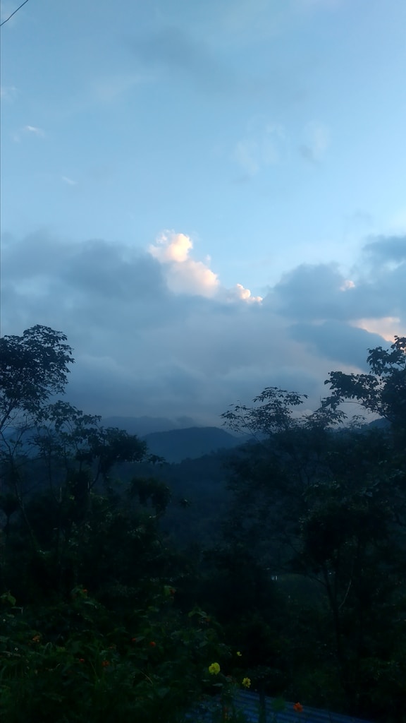 Caminhos da Vida