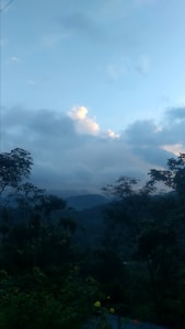 Caminhos da Vida