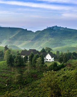 A scenic view of a property with lush green surroundings.